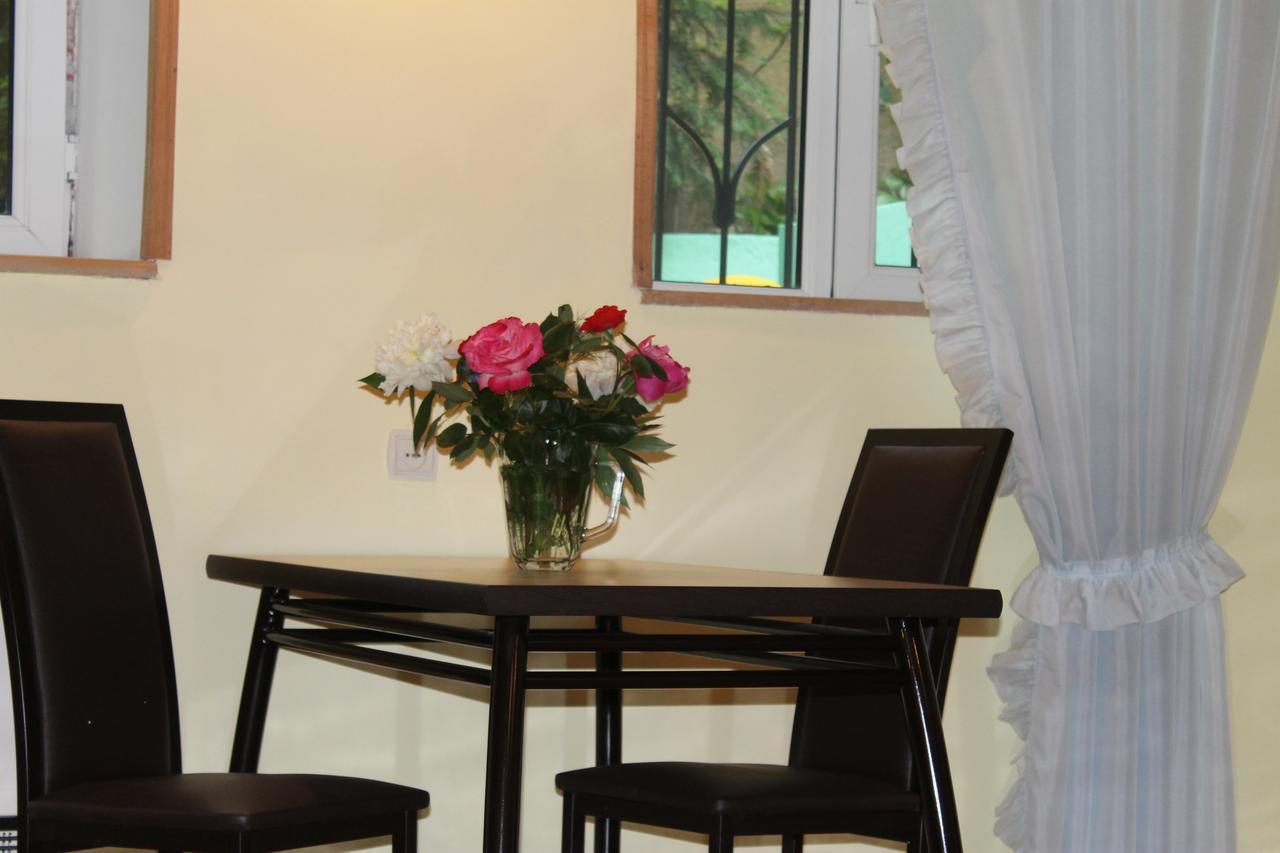 Salomes Apartment Tuti ボルジョミ エクステリア 写真