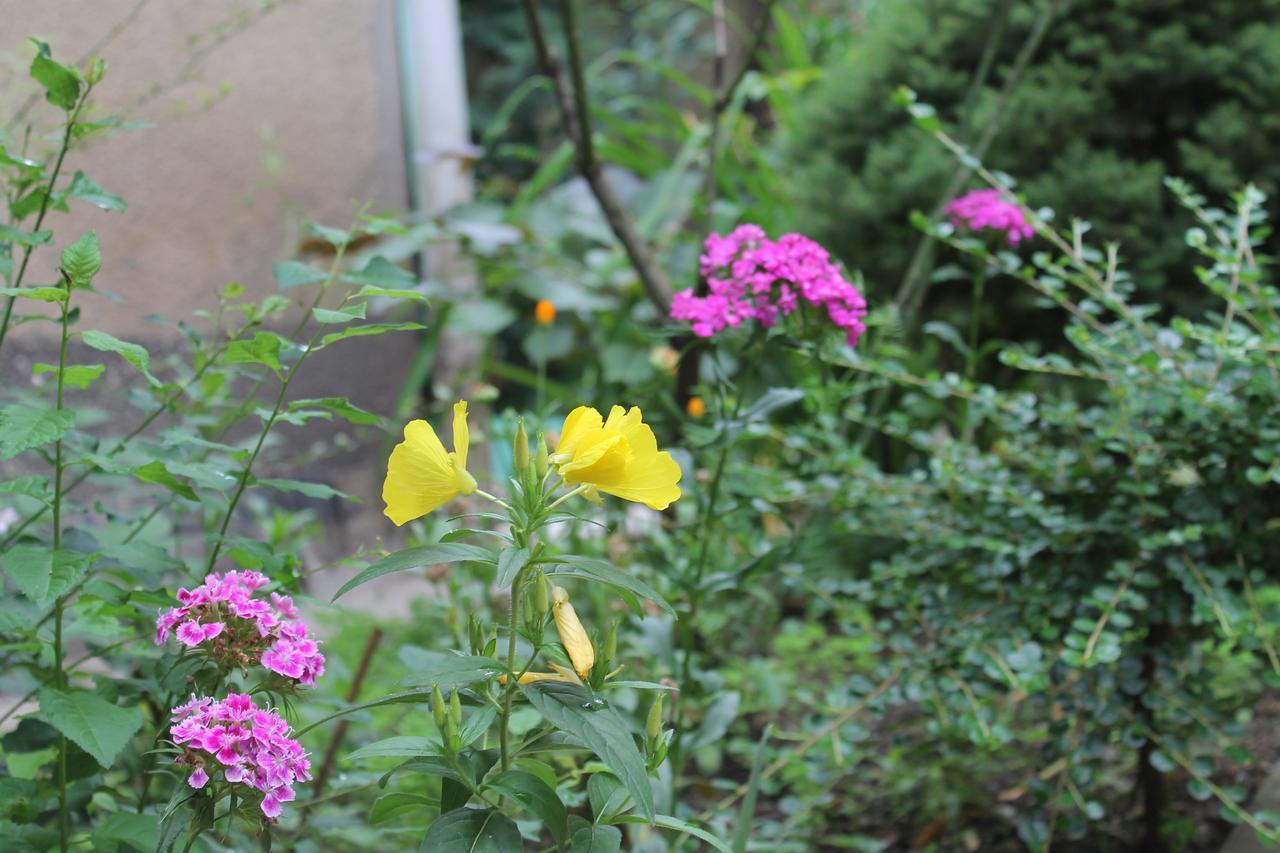 Salomes Apartment Tuti ボルジョミ エクステリア 写真