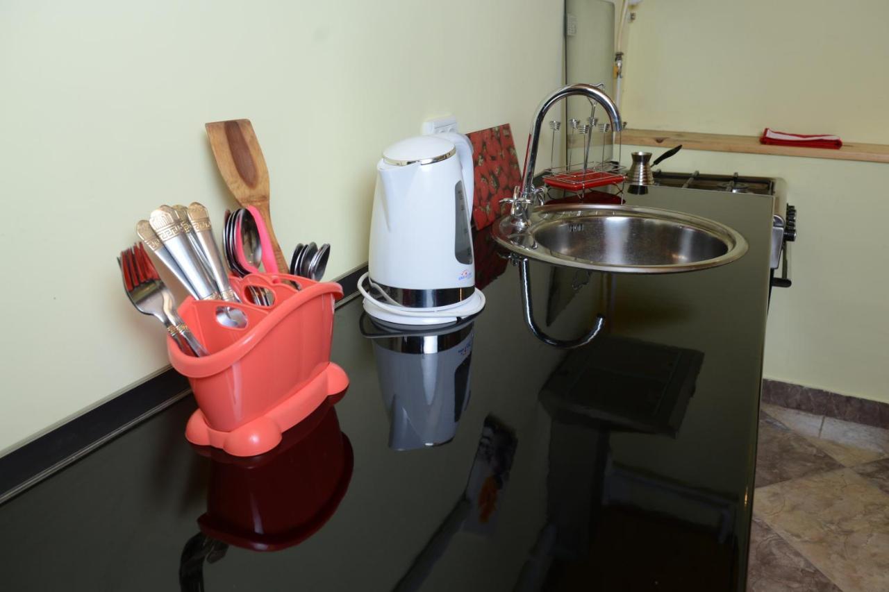Salomes Apartment Tuti ボルジョミ エクステリア 写真
